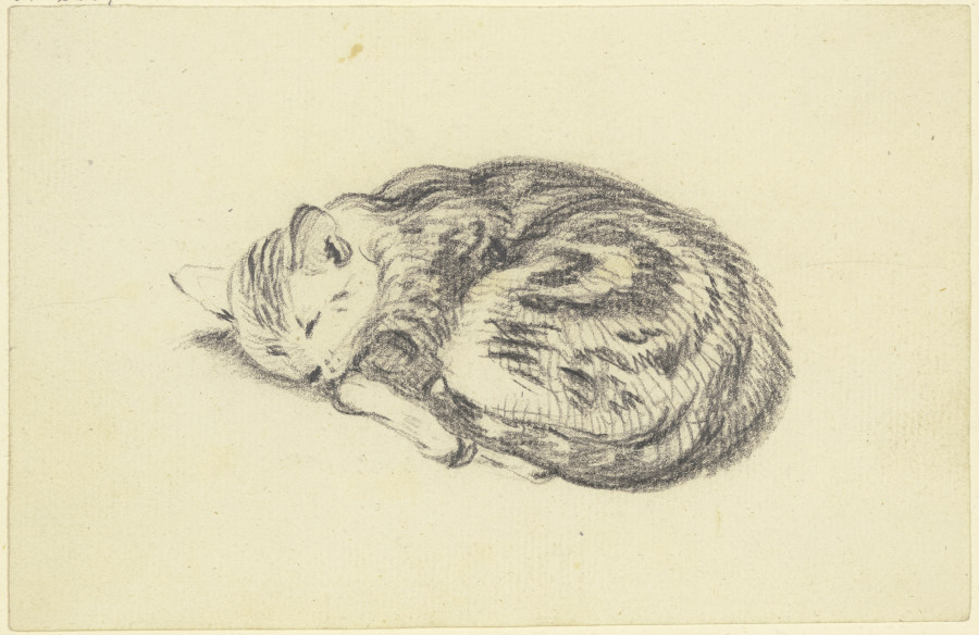 Sleeping cat de Friedrich Wilhelm Hirt