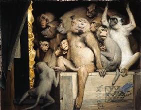 Monkeys as art critics