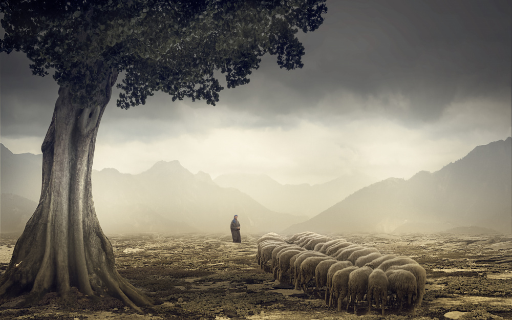 The Shepherd de Gabrielle Halperin