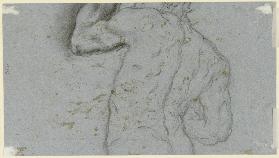 Male nude from behind