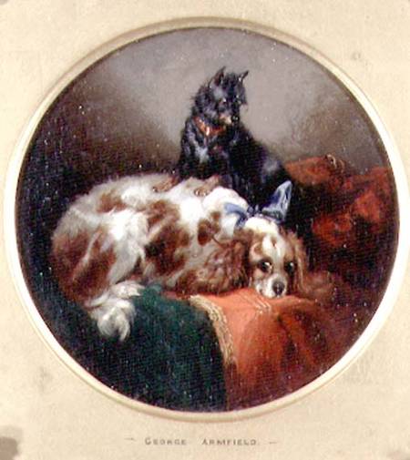 Blenheim Spaniel and Terrier de George Armfield