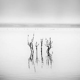 Lake Reflections