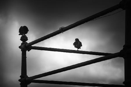 Rainy Days in Amalfi III