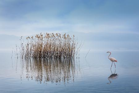 Volvi Lake