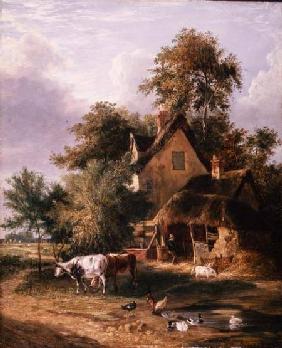 Farmyard Scene