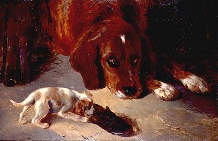An Inquisitive Puppy (board) de George W. Horlor