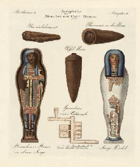 Egyptian mummies