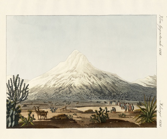 The Chimborazo in South America de German School, (19th century)
