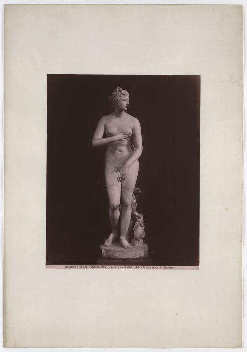 Florence: Venus deMedici, famous Greek work by Cleomene, Uffizi Gallery, No. 3150 bis de Giacomo Brogi
