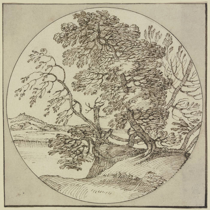 Tree section by the water de Giovanni Francesco Grimaldi