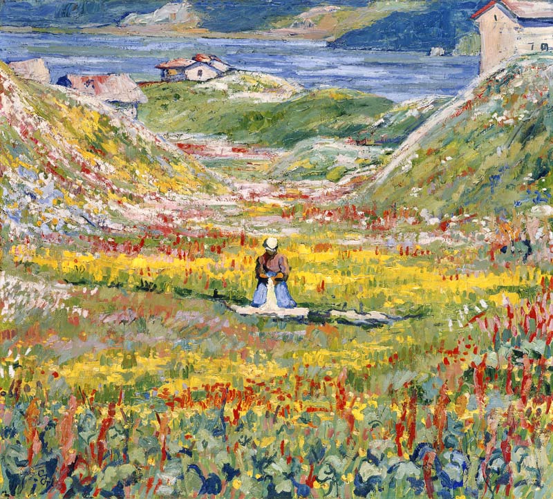 Flowering Meadows in Maloja; Bluhende wiesen bei Maloja de Giovanni Giacometti