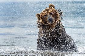 Shaking - Kamchatka, Russia