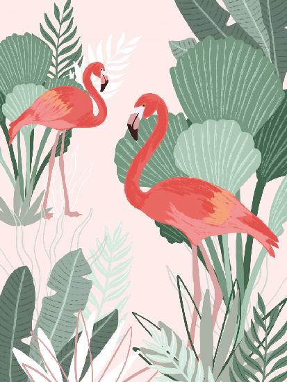 Flamingo Dreams