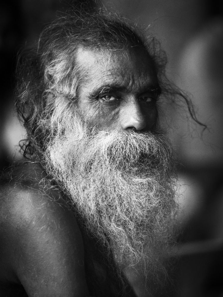 SADHU de Gonzalo Sáenz de