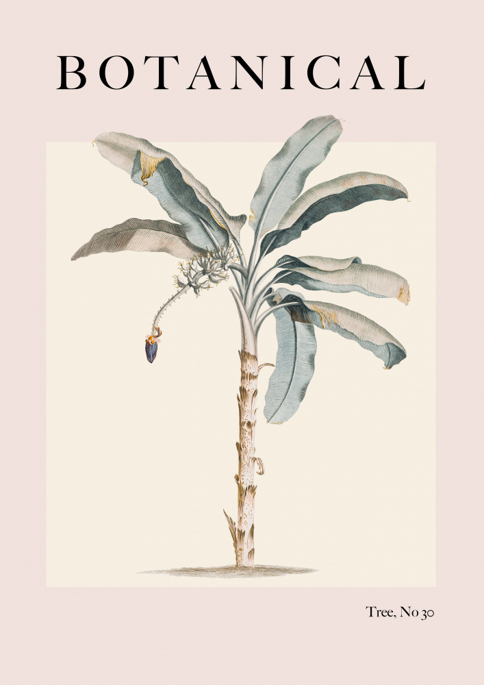 Botanical Palm de Grace Digital Art Co