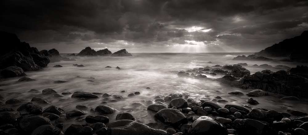 Crescent Head Rays de Graeme