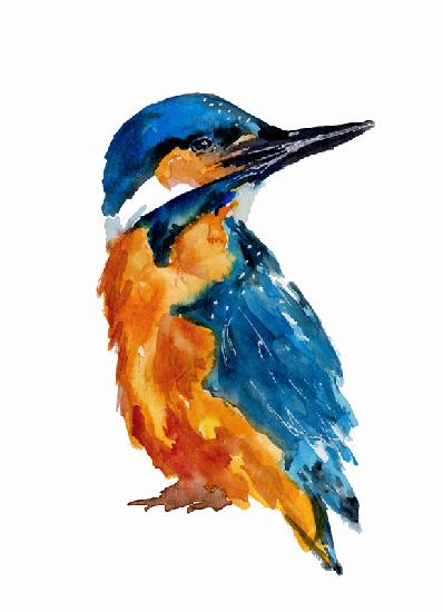 Little Kingfisher