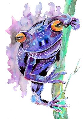 Purple Frog