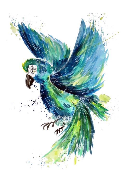 Turquoise Watercolor Parrot de Sebastian  Grafmann