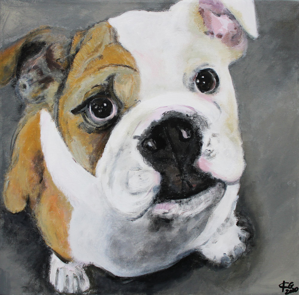 Bulldogge de Karin Greife