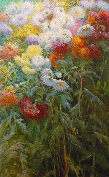 Chrysanthemums de Gustave Caillebotte