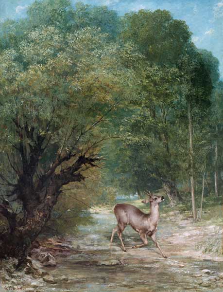 Deer sniffing the air de Gustave Courbet