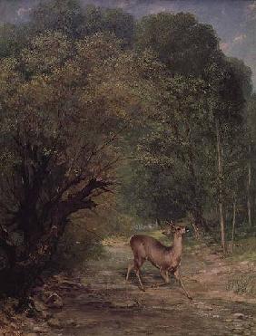 The Hunted Roe-Deer on the alert, Spring