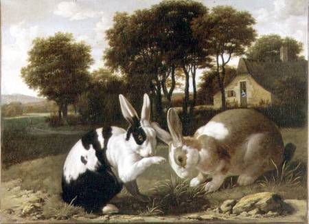 Two Rabbits in a Landscape de Haarlem School