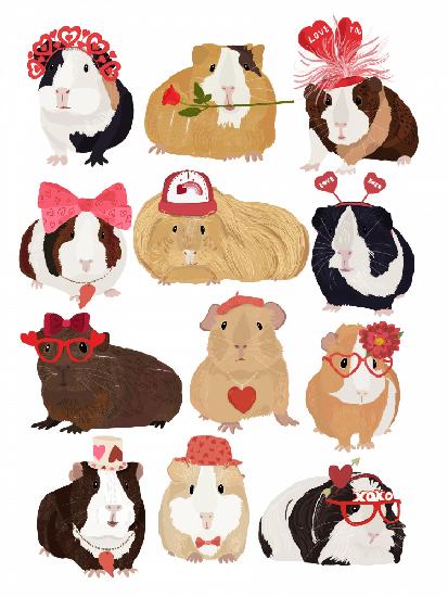 Love Guinea Pigs