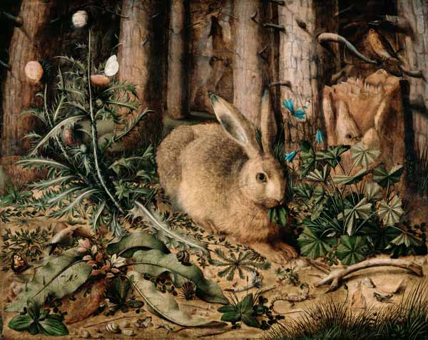 A Hare in the Forest de Hans Hoffmann