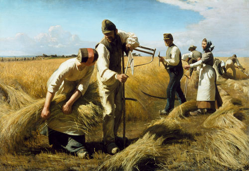 The grain harvest de Hans Ole Brasen