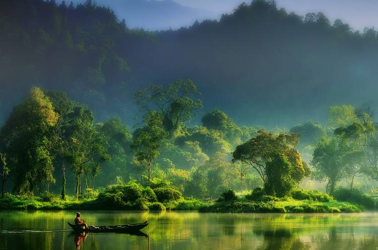 Painting of  Nature de Hardibudi