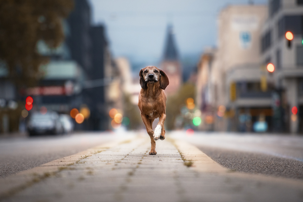 Street Dancer de Heike Willers