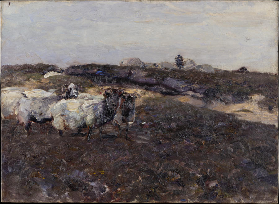 Sheeps in Moorland de Heinrich von Zügel