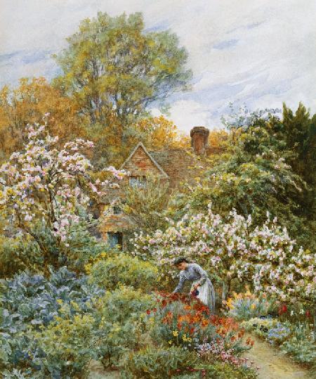 A Garden in Spring