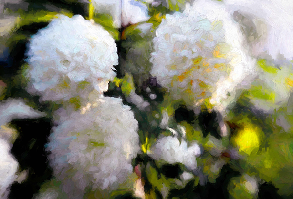 Big Blowsy Blooms de Helen White
