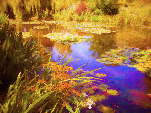 Giverny Waterlilies de Helen White