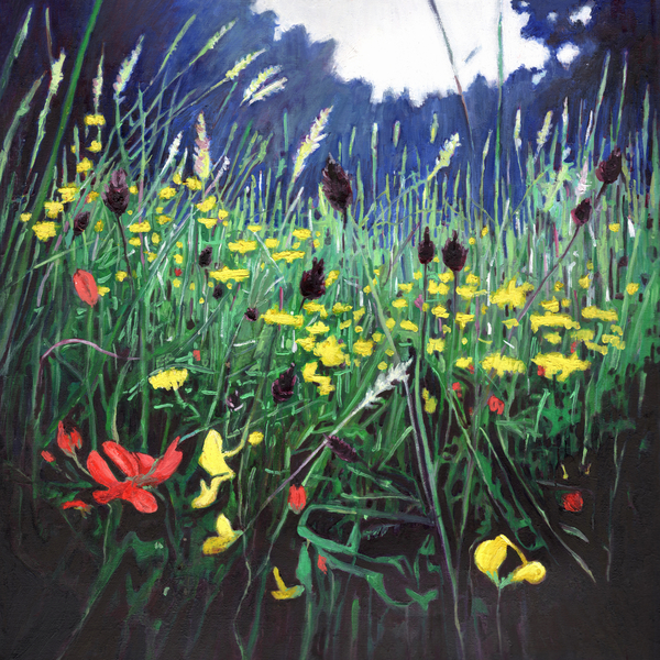 Meadow glory de Helen White