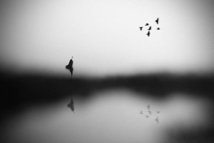 Conscience de Hengki Lee