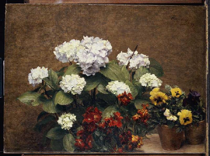 Quiet life with Hortensien and pansy de Henri Fantin-Latour