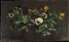 Still Life with Pansies