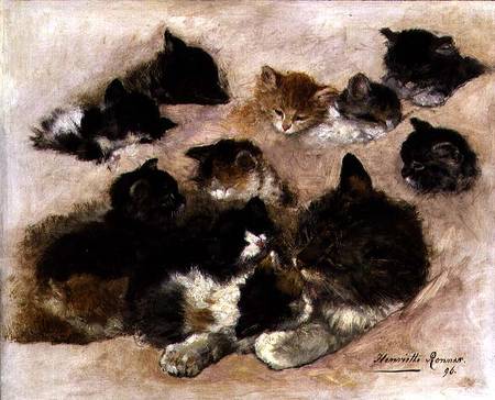 Study of cats and kittens de Henrietta Ronner-Knip