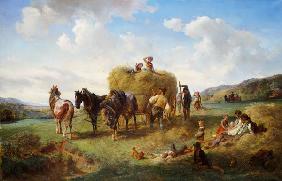 The Hay Harvest