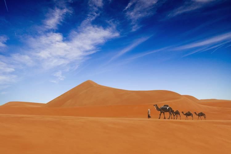 Desert Life .. de Hesham Alhumaid