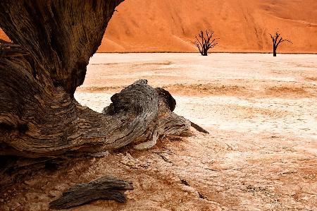 Deadvlei from a different point of view