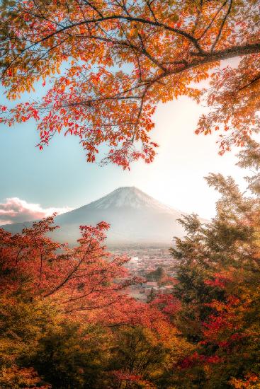 Beautiful Autumn in Japan