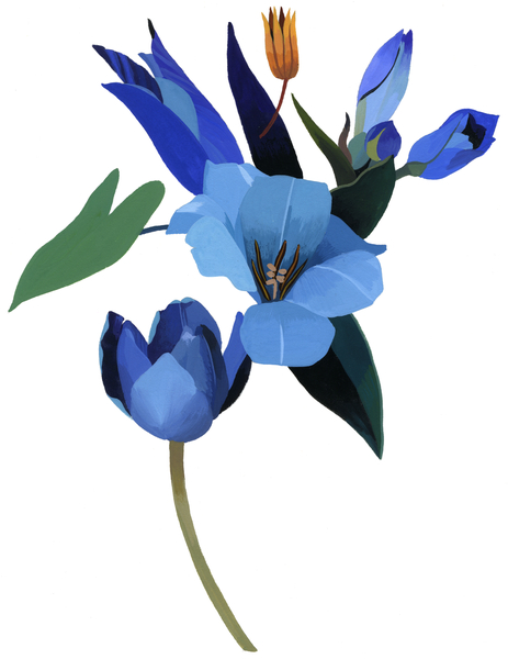 Tulips and blue flowers de Hiroyuki Izutsu