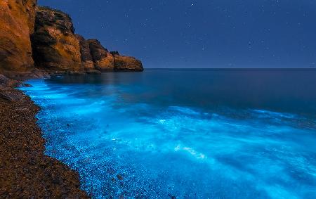 Bioluminescent Bay