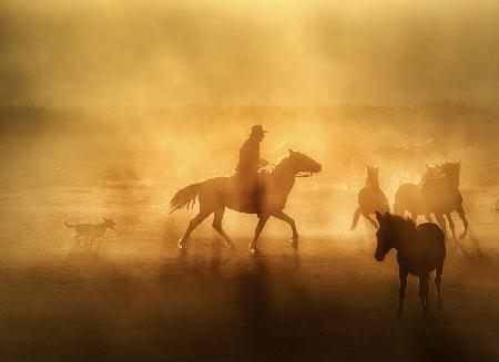 A Cowboy in Anatolia