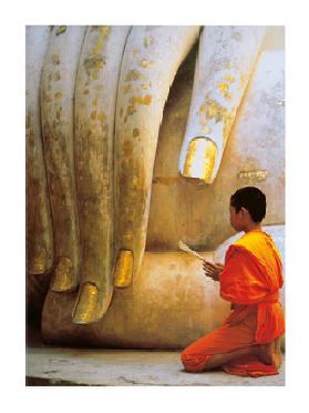 The Hand of Buddha